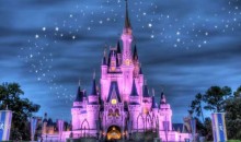 上海半自由行三日游