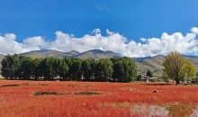 川西畫(huà)里成都/綿陽(yáng)、木雅圣地、魚(yú)子溪、新都橋、稻城亞丁、墨石公園雙飛七日游